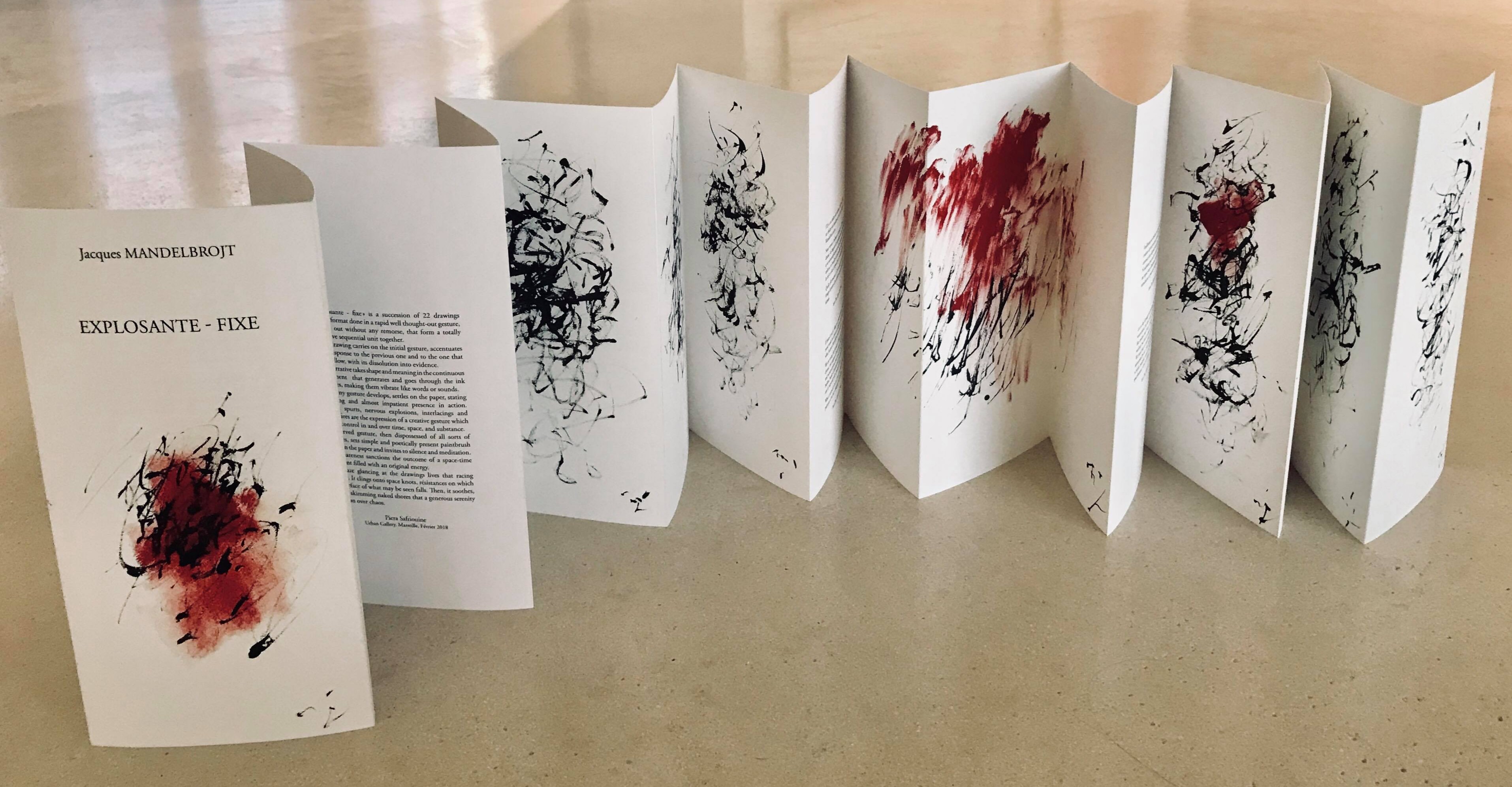 Edition d'un leporello, Explosante-fixe, 22 dessins encre sur papier, tirage offset 15X30 cm, 30ex, Edition Jean-Pierre Huguet, 2018